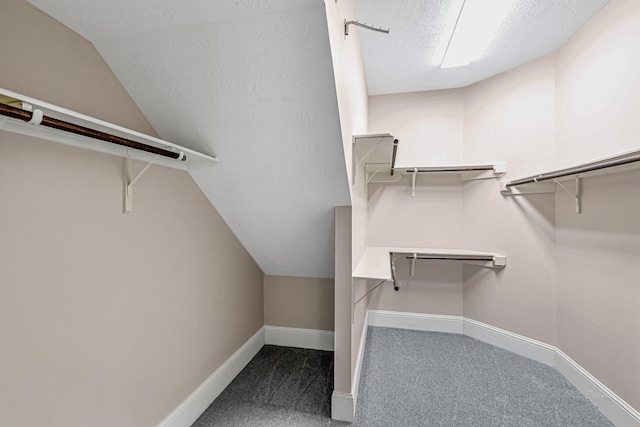 walk in closet featuring lofted ceiling and carpet floors