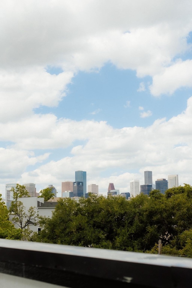 2711 Delano St, Houston, TX 77004 - city view