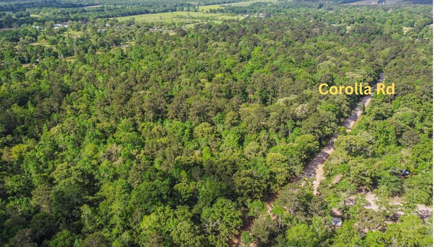 2967 Corolla Rd, Magnolia, TX 77354 - photo 2