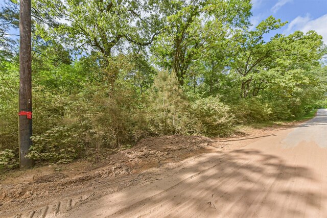 2967 Corolla Rd, Magnolia, TX 77354 - photo 4