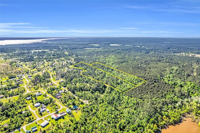 0 Pine Ln, Onalaska, TX 77360