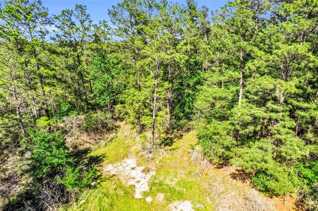 0 Pine Ln, Onalaska, TX 77360