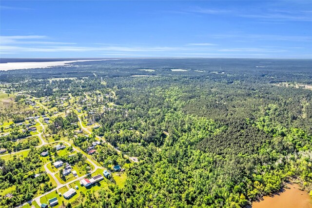 0 Pine Ln, Onalaska, TX 77360