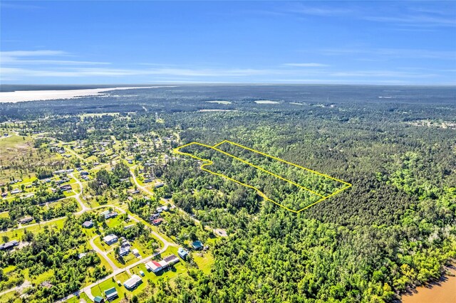 0 Pine Ln, Onalaska, TX 77360