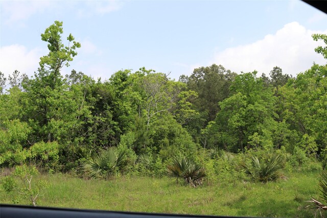 5207 Melanie Ln, Crosby, TX 77532 - photo 5