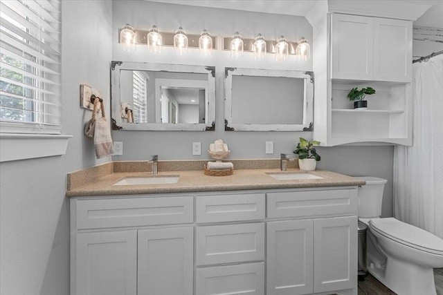 bathroom featuring toilet, a sink, and double vanity