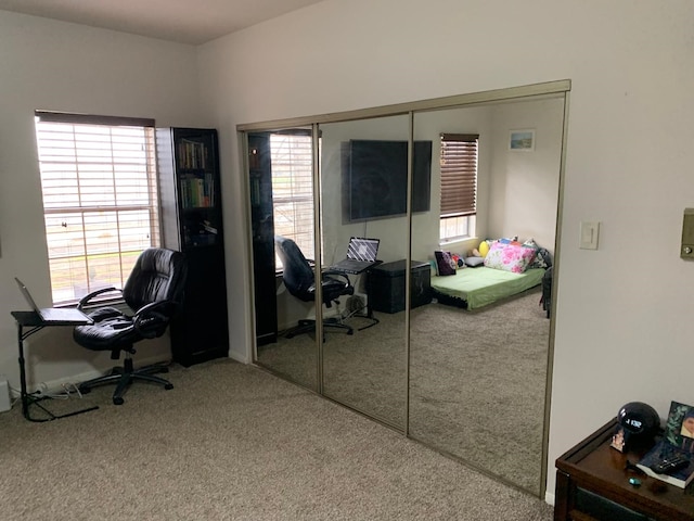 office featuring carpet flooring