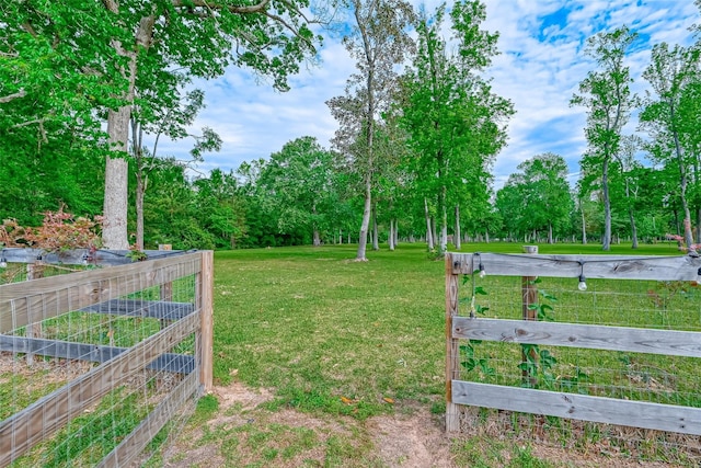 view of yard featuring a garden