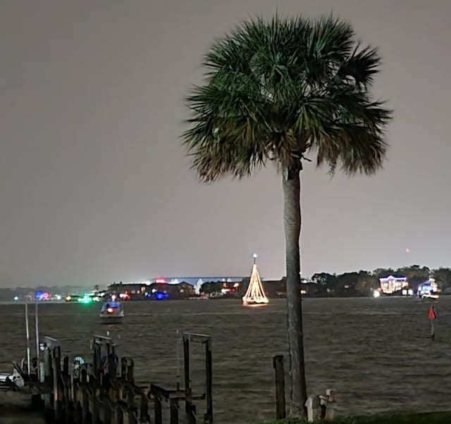 1207 N Shore Dr, Clear Lake Shores, TX 77565 - water view featuring a boat dock
