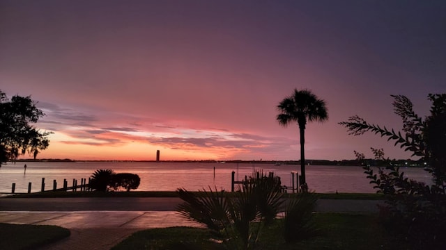 property view of water