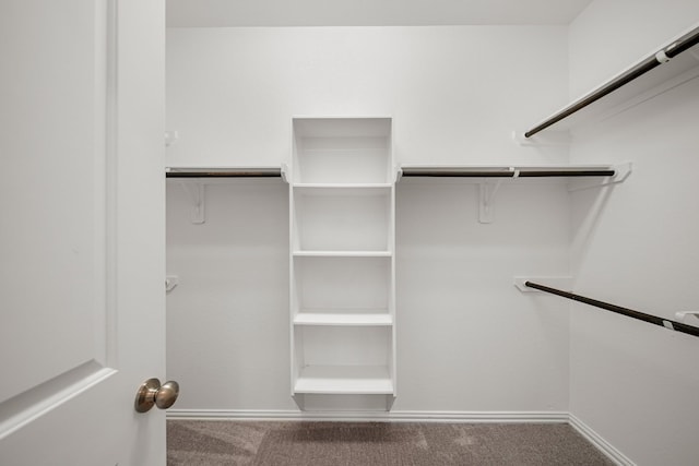 1706 Country Air Ln, Missouri City, TX 77459 - spacious closet with carpet