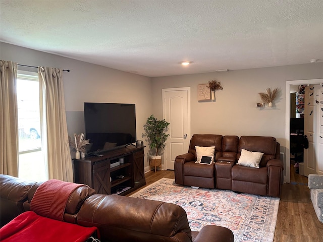 living area featuring wood finished floors and a textured ceiling