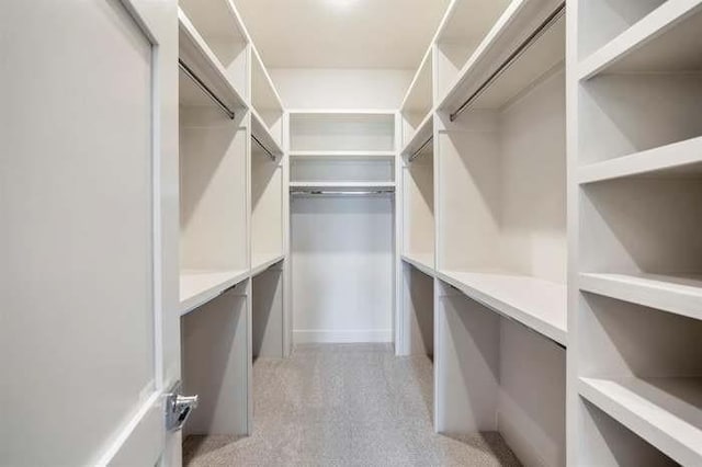 walk in closet with light carpet