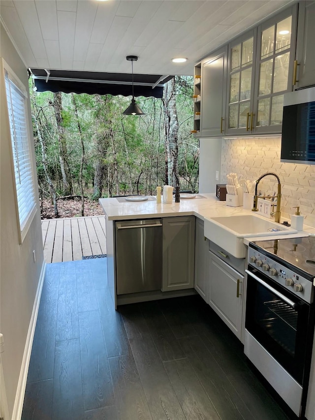 kitchen featuring stainless steel appliances, a sink, dark wood finished floors, and tasteful backsplash