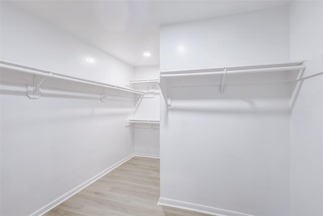 spacious closet featuring wood finished floors