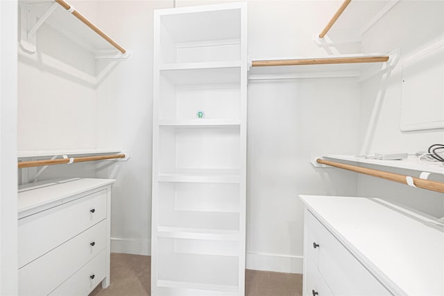 view of walk in closet