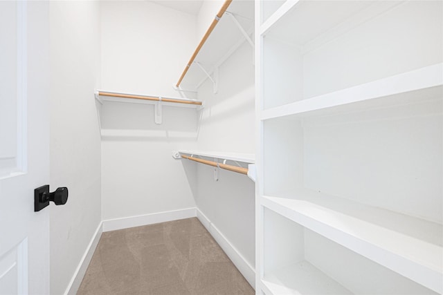 walk in closet featuring carpet