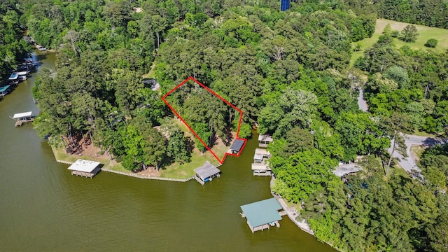 bird's eye view featuring a view of trees and a water view