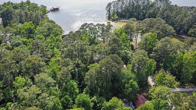 drone / aerial view featuring a wooded view and a water view