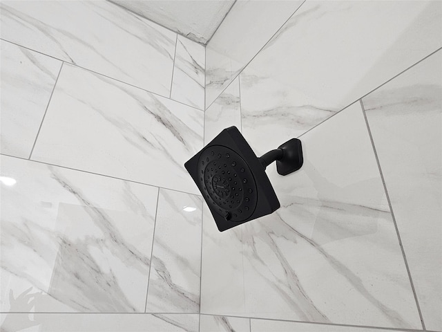 8131 Woodward St, Houston, TX 77051 - bathroom view of a shower