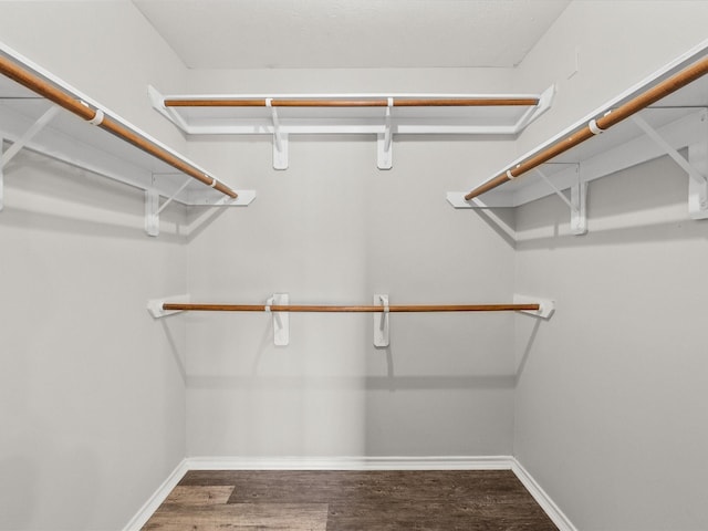 spacious closet featuring wood finished floors