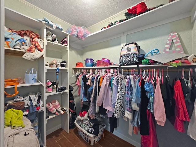 walk in closet featuring wood finish floors