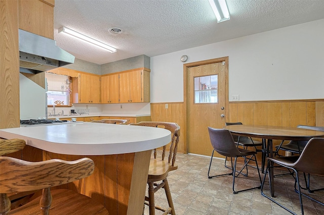 kitchen with stainless steel gas cooktop, a wainscoted wall, visible vents, exhaust hood, and light countertops