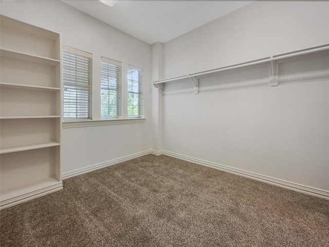 12620 Briar Patch Rd, Houston, TX 77077 - walk in closet featuring carpet flooring
