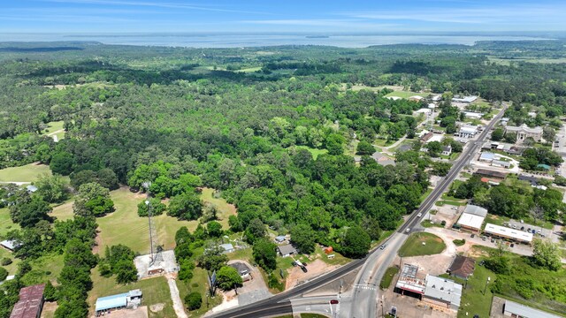 15011 State Highway 150 W, Coldspring, TX 77331 - photo 2