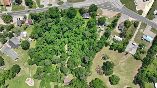 15011 State Highway 150 W, Coldspring, TX 77331 - photo 10