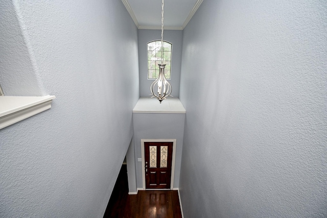 doorway to outside with ornamental molding and dark wood finished floors