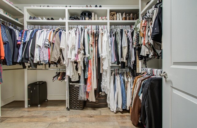 walk in closet featuring wood finished floors