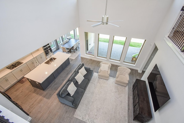 living area with wood finished floors, a ceiling fan, and a towering ceiling