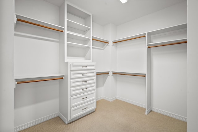 spacious closet with light colored carpet