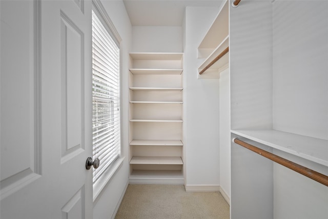 walk in closet with light colored carpet