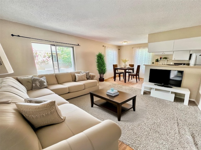 12660 Ashford Point Dr Unit 302, Houston, TX 77082 - living room with a textured ceiling and light wood-style flooring