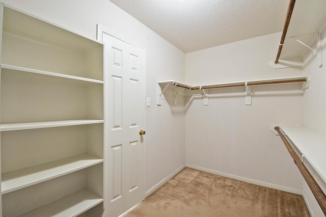 spacious closet with carpet