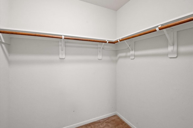 walk in closet with carpet flooring