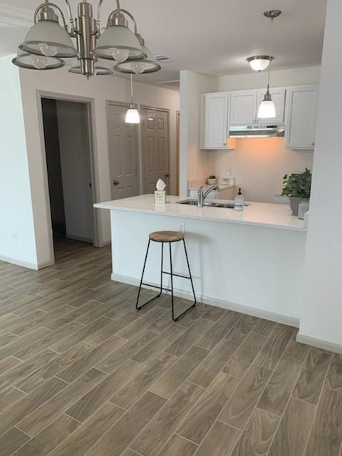 4533 Rosemont St, Houston, TX 77051 - kitchen featuring white cabinets, under cabinet range hood, light countertops, a sink, and wood finish floors
