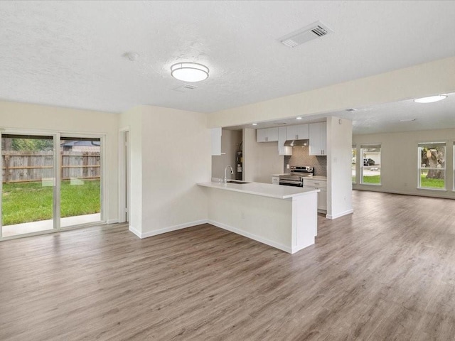 14203 Cheval Dr, Cypress, TX 77429 - photo 10