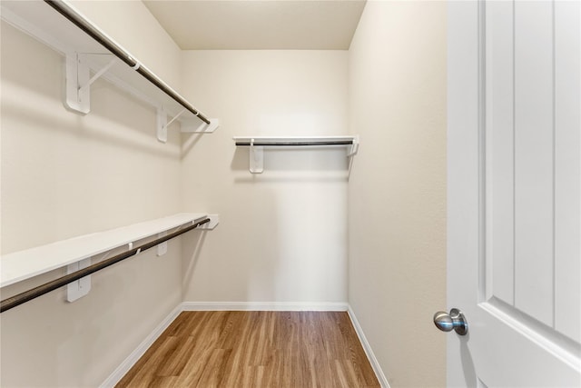 walk in closet with light wood-style flooring
