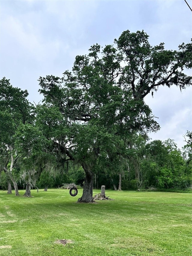 597 County Road 605, Angleton, TX 77515 - surrounding community with a yard