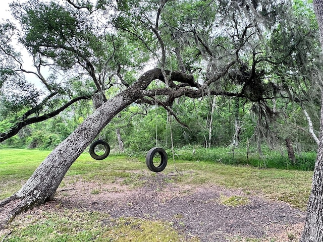 597 County Road 605, Angleton, TX 77515 - view of yard