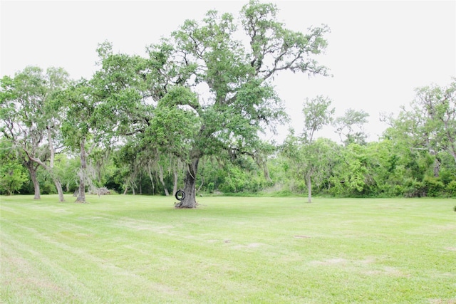 597 County Road 605, Angleton, TX 77515 - view of yard