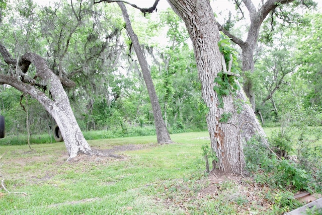 597 County Road 605, Angleton, TX 77515 - view of yard with a wooded view