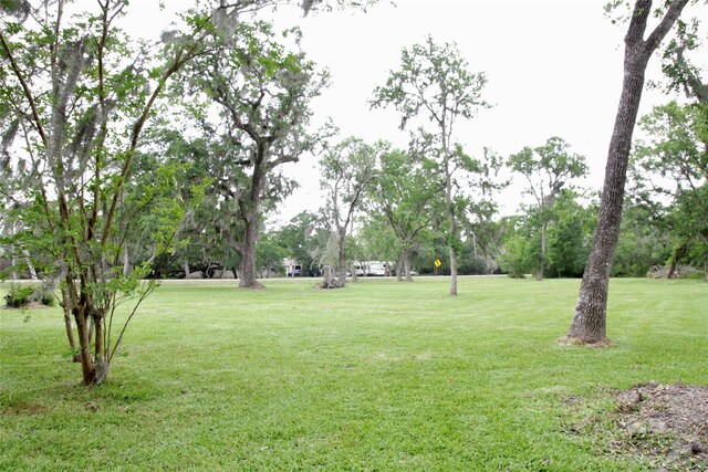 597 County Road 605, Angleton, TX 77515 - view of yard