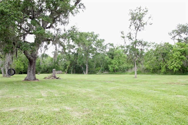 597 County Road 605, Angleton, TX 77515 - view of yard
