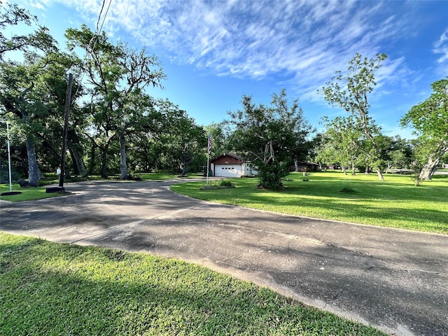 597 County Road 605, Angleton, TX 77515 - view of road with concrete driveway