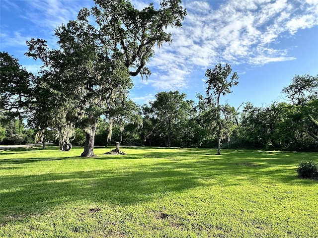 597 County Road 605, Angleton, TX 77515 - view of yard