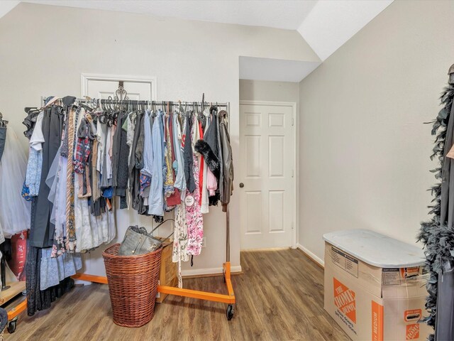 2806 Village Dl, Houston, TX 77059 - spacious closet with wood finished floors and lofted ceiling